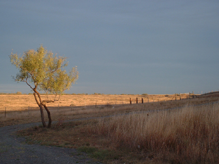 Fall landscape at the Landmark